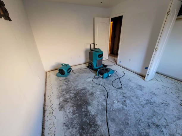 Best Ceiling water damage repair  in Central, SC