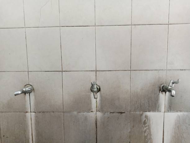 Best Flood restoration services  in Central, SC